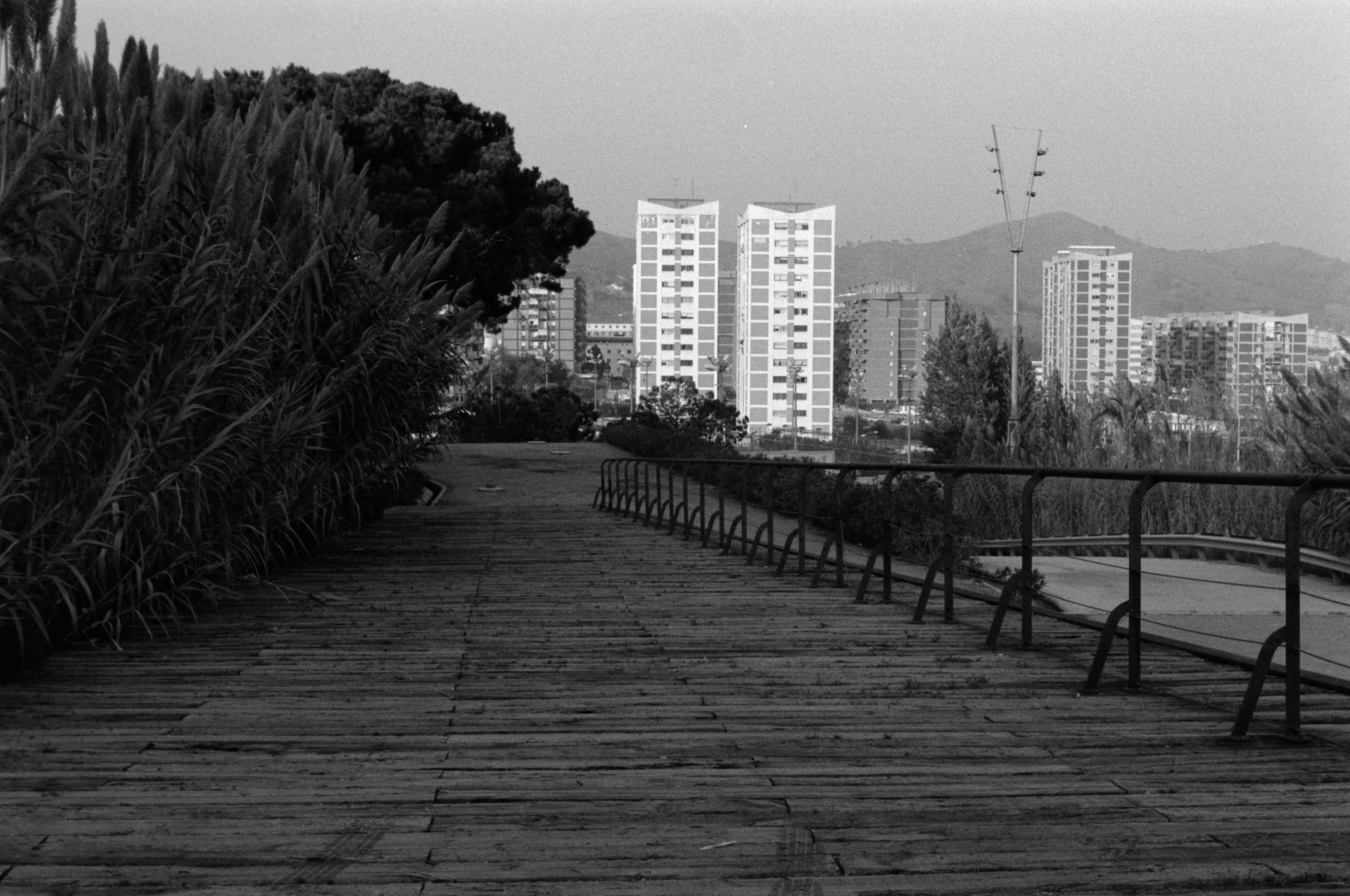 AHP F1995 10 003 sc240815 img32 NLP